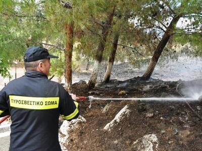 Υπό μερικό έλεγχο η φωτιά στην περιοχή Σ...