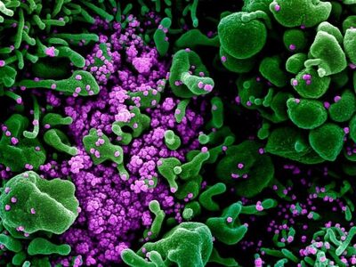 Kraken: Τα συμπτώματα της υπερμεταδοτική...