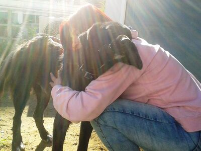 Η ΤΖΟΥΛΙΑ ΚΑΡΑΓΙΑΝΝΗ