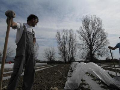 Επικίνδυνα φυτοφάρμακα διακινεί στην Ελλ...