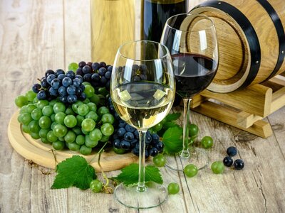 Μειώθηκε η παραγωγή κρασιού στην Αχαΐα