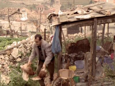 Ηλεία - Αμαλιάδα: Κλεφτοκοτάδες, άδειασα...