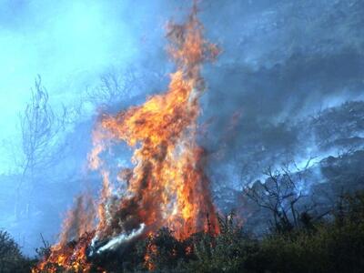 Ζάκυνθος: Μαίνεται η πυρκαγιά στο χωριό ...