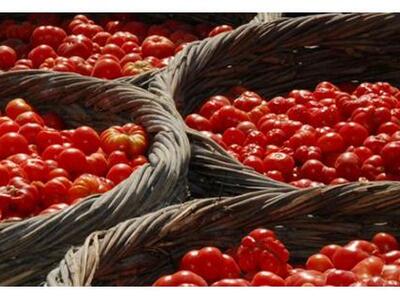 Στο "μικροσκόπιο" των ερευνητώ...