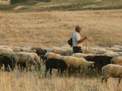 Σπάνιο κρούσμα άνθρακα σε αγρότη της Ελασσόνας