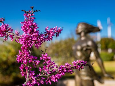 Πανεπιστήμιο Πατρών: Νέα απλοποιημένη δι...