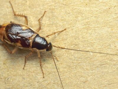 Γυναίκα πήγε στο νοσοκομείο της Λάρισας ...