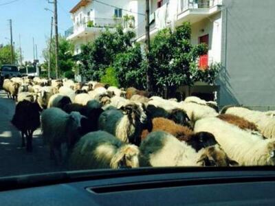 Μποστάνια, κοτέτσια και new age βοσκοί σ...