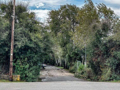 Μεσσηνία: Κοντά στη σύλληψη του δράστη- ...