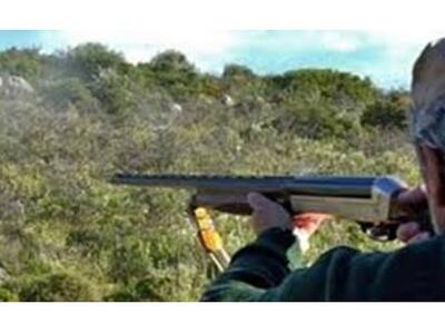 Οι λαθροθήρες...συγγενείς του, έδειραν τ...