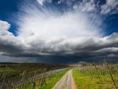 Πώς ο καιρός επηρεάζει την ψυχολογική μας διάθεση;