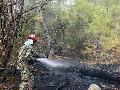 Έβρος: Χωρίς ενεργά μέτωπα πυρκαγιάς - Ε...