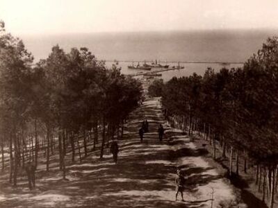 Την εποχή που το φύτεψε ο Ρηγόπουλος