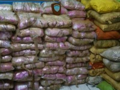 Στον εισαγγελέα οι 14 κατηγορούμενοι για...