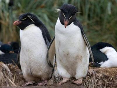 Από μακρυά και αγαπημένοι ζουν οι παντρε...