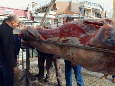 Οι Φεριώτες σούβλισαν και φέτος «τον μόσ...