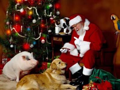 Συνελήφθη άνδρας επειδή έλεγε στα παιδιά...