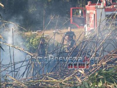 Πρέβεζα: Υπό έλεγχο η φωτιά στο Μύτικα -...