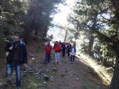 Πάτρα: Δάσκαλοι και καθηγητές συνυπέγραψ...