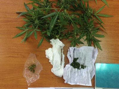 Αγρίνιο: 47χρονη είχε στο σπίτι της δενδ...