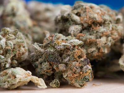 Ηλεία: Kάνναβη σε μορφή σοκολάτας είχε 30χρονη