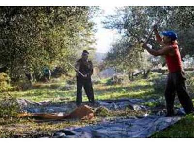 Αιτωλοακαρνανία: Έρχονται ενισχύσεις σε ...