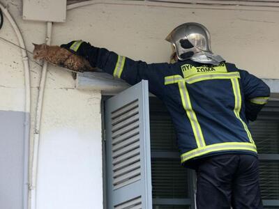 Βόλος: Φωτιά ξέσπασε τα ξημερώματα σε μο...