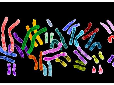Πάτρα: Συνεχίζονται οι ανοιξιάτικες δράσ...