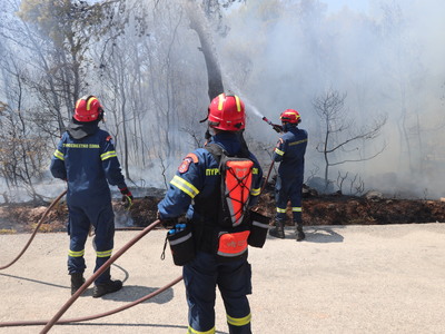 Πρέβεζα: Φωτιά στη Βρυσούλα - Απομακρύνο...