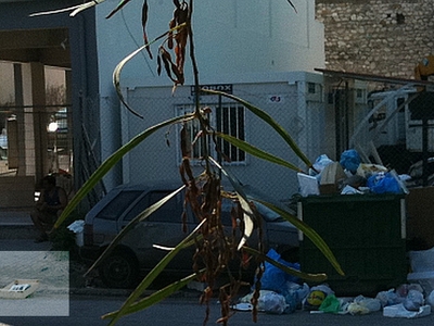 Η ...αγορά του Καΐρου στην Πάτρα!