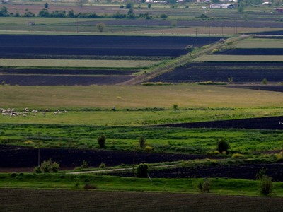 Ψηλά στις λίστες εκχερσώσεων και δασωμέν...