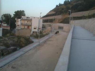 Πάτρα:Η Κανακάρη φοράει τα... καλά της κ...