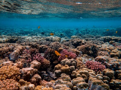 Κλίμα: Η γη έχει φτάσει στο πρώτο καταστ...