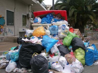 Πύργος: Ξεκίνησε την Τετάρτη η αποκομιδή...