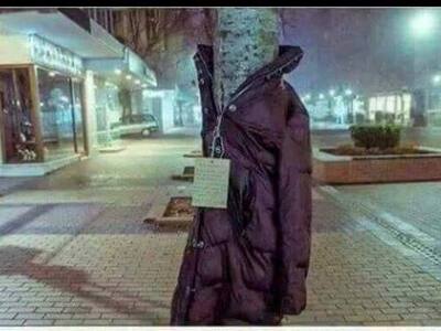 Γιατί τα δένδρα στο κέντρο της Λάρισας θ...