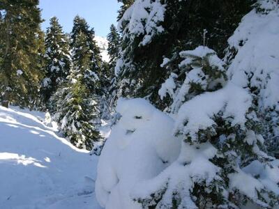 Παραμονή Χριστουγέννων με κρύο, χιόνι και παγετό