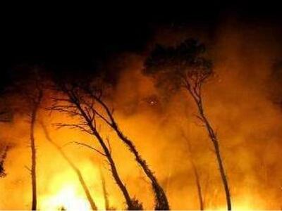 Τώρα: Φωτιά  στην περιοχή της Αχάια Κλάους 