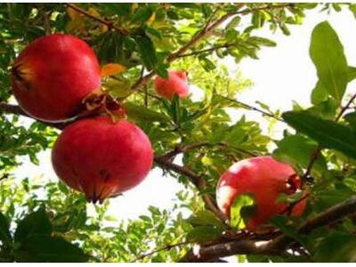 Δυτική Ελλάδα: Επένδυση ύψους ενός εκατο...