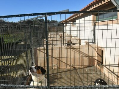 Ώρα Πατρών-Γιώργος Ρώρος: Καταφύγιο.. χω...