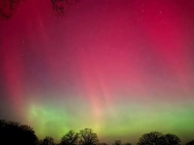 REUTERS/Jonas Walzberg