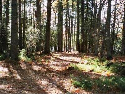 Πάτρα: Τρόμος λόγω εγκληματικότητας στο ...