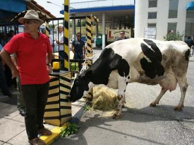 Θεσπρωτία: Απίστευτο και όμως ελληνικό: ...