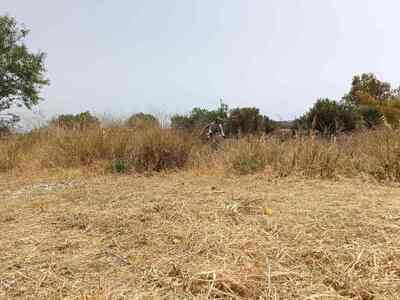 Πάτρα: Από 1η Απρίλη οι πολίτες καλούντα...