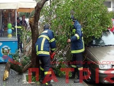 Πύργος: Δέντρο καταπλάκωσε παρκαρισμένο ...