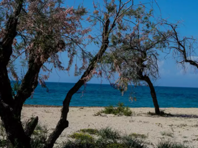 Στους 25°C η θερμοκρασία την Κυριακή και...