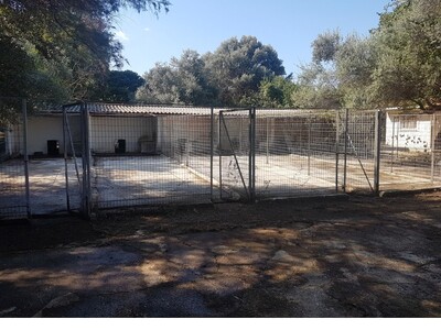 Μέριμνα μετά