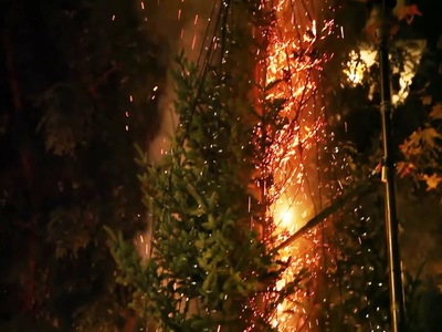 Έκαψαν το χριστουγεννιάτικο δέντρο στα Ε...