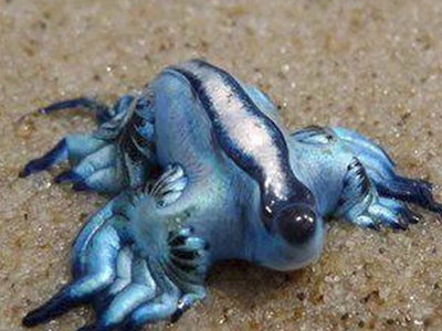 Ισπανία: Αποκλεισμός διάσημης παραλίας ε...