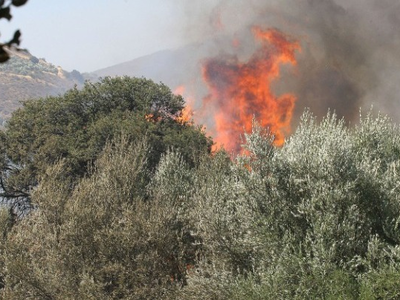 Δύσκολη και η σημερινή μέρα - Ο άνεμος μ...