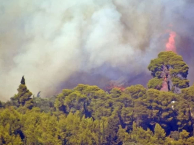 Ηλεία: "Κάτι περίεργο συμβαίνει&quo...